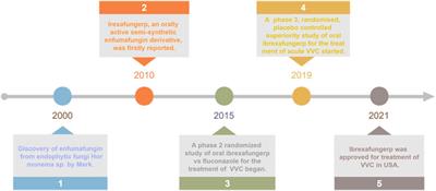 A review of the fernane-type triterpenoids as anti-fungal drugs